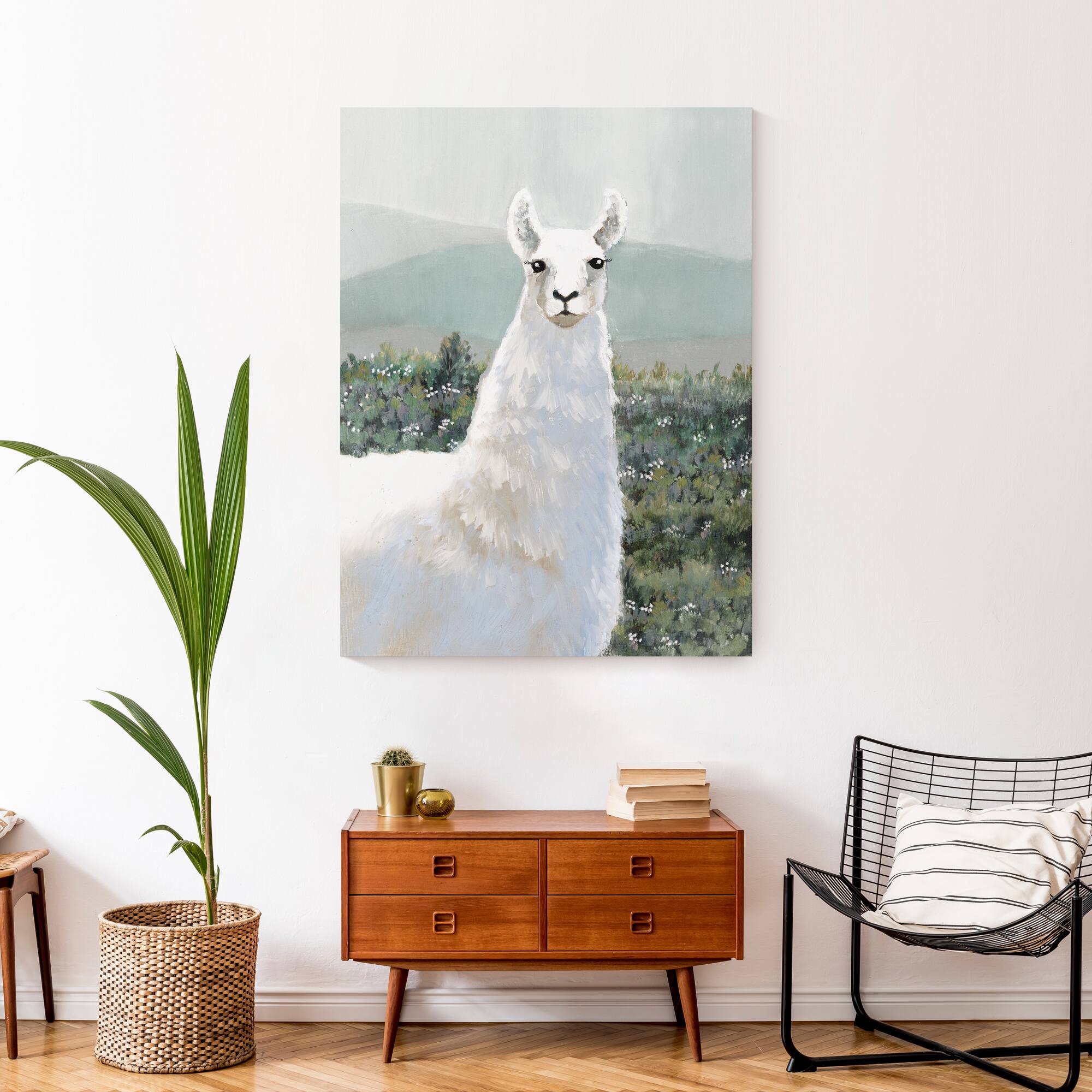White Llama in Pasture 30" x 40" Canvas Wall Art
